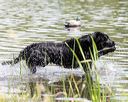 20160604-seaw-0525