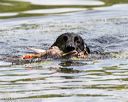 20160604-seaw-0552