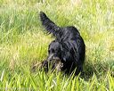 20160604-seaw-0579