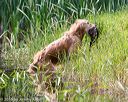 20160604-seaw-0589