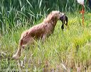 20160604-seaw-0591