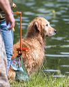 20160604-seaw-0594
