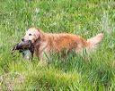 20160604-seaw-0638