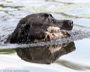 20160604-seaw-0689