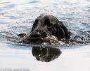 20160604-seaw-0790