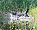 20160604-seaw-0826