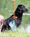 20160604-seaw-0832