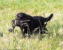 20160604-seaw-0911