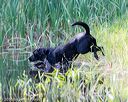 20160604-seaw-0919