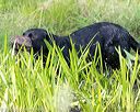 20160604-seaw-0990