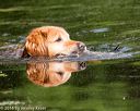 20160604-seaw-1021