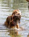20160604-seaw-1039