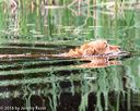 20160604-seaw-1060