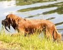 20160604-seaw-1080