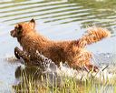 20160604-seaw-1081