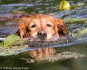 20160604-seaw-1098