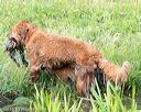 20160604-seaw-1126