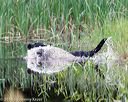 20160604-seaw-1136