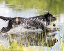 20160604-seaw-1153