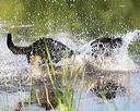 20160604-seaw-1155