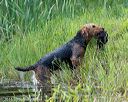 20160604-seaw-1219