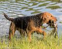 20160604-seaw-1243