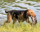 20160604-seaw-1245