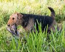 20160604-seaw-1263