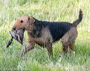 20160604-seaw-1268