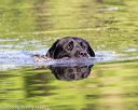 20160604-seaw-1294