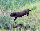 20160604-seaw-1332