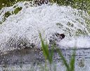 20160604-seaw-1347