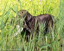 20160604-seaw-1363