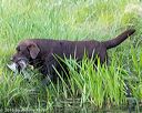 20160604-seaw-1405