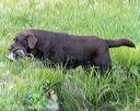 20160604-seaw-1407