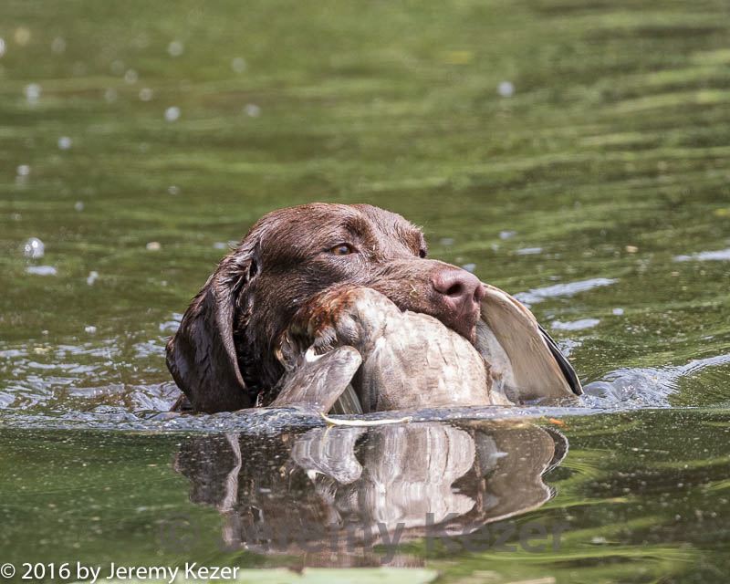 20160604-seaw-0139.jpg