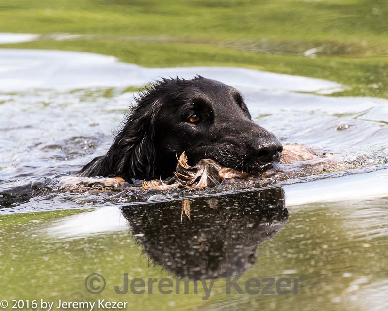 20160604-seaw-0804.jpg
