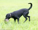 20160605-shrl-0029
