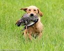 20160605-shrl-0069
