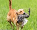 20160605-shrl-0080