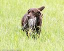 20160605-shrl-0135
