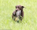 20160605-shrl-0136