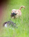 20160605-shrl-0181