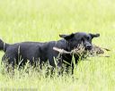 20160605-shrl-0200