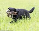 20160605-shrl-0207