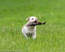 20160605-shrl-0282