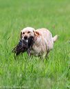 20160605-shrl-0340