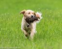 20160605-shrl-0356