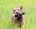 20160605-shrl-0405