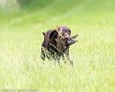 20160605-shrl-0564